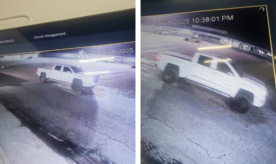 Info sought by Murray Animal Control