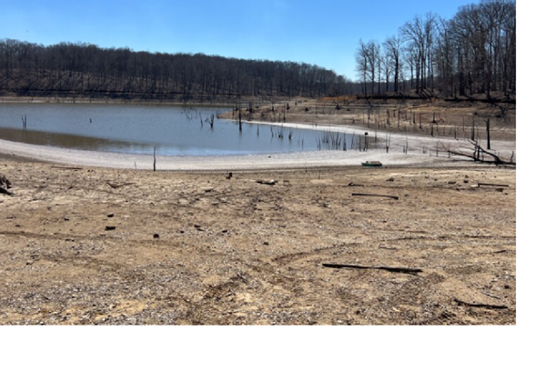 Fish salvage declaration in effect at Little Grassy Lake 