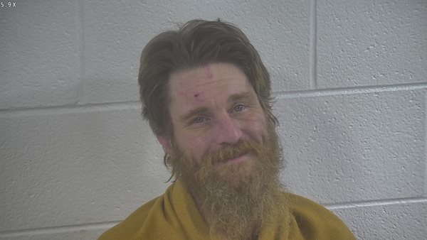 Murray's mule man arrested again after releasing a racoon into a business