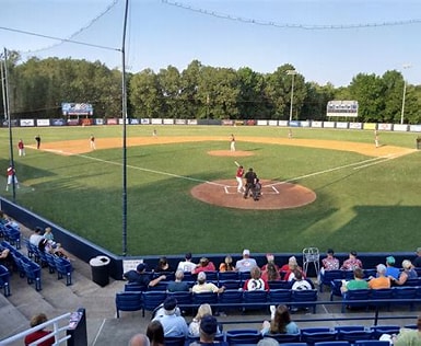 Brooks Stadium is looking into getting turf on its infield
