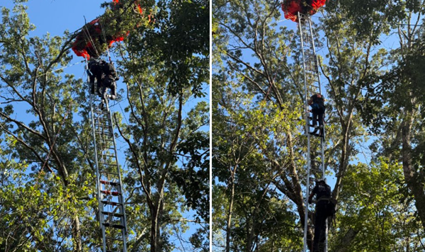 One dead, one rescued in Nashville skydiving accident