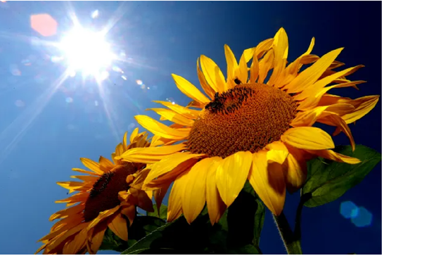 Meteorological summer starts Sunday along with hurricane season