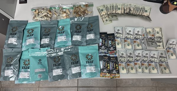 Benton pair arrested on drug charges following disturbance call