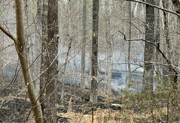 Fire burns more than an acre along The Trace in LBL