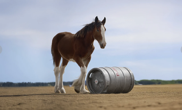 Super Bowl ads rely on comedy, nostalgia to avoid missteps