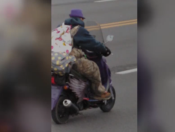 KSP seeks info on person of interest seen at Paducah's southside