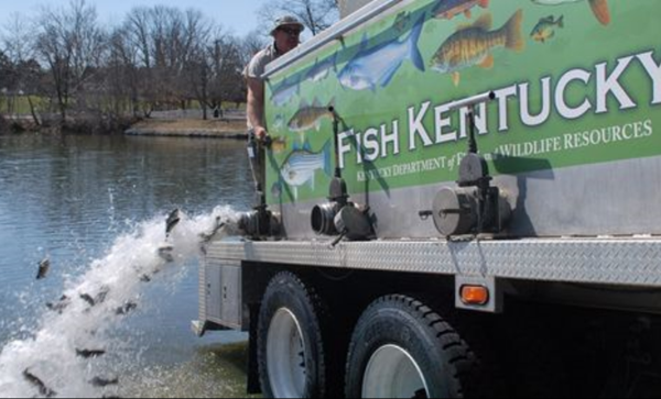 Noble Park restocked with catfish in state program