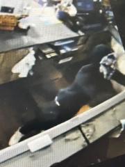 Authorities need help identifying burglar at Reidland Huck’s