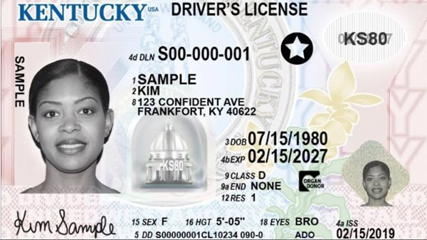 Lawmaker seeks easier access to driver's license renewals for Kentuckians with new bill