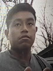 Search underway for missing male 