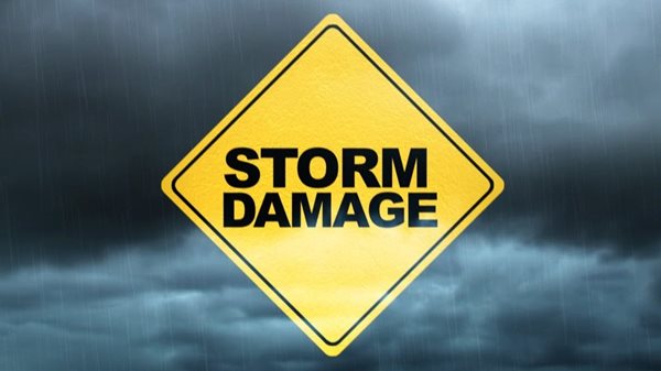 Line of storms brings down trees, power lines through southern Illinois into McCracken County