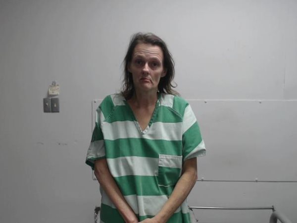 Marion woman jailed on variety of charges 