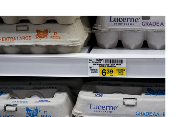 Pennsylvania police trying to crack the theft of 100,000 eggs