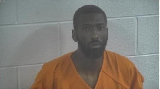 Almo man jailed on variety of charges 