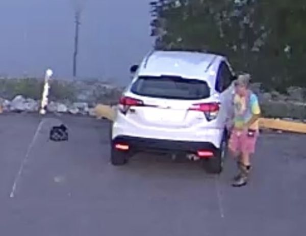 Suspect sought in damage at Mike Miller Park 