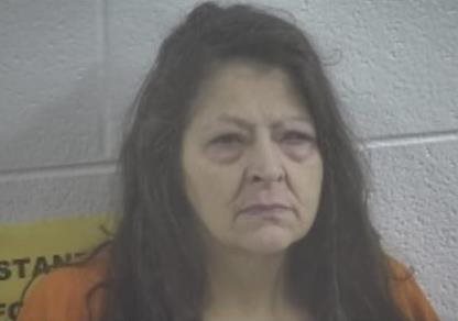 Hazel woman allegedly turns out pit bull on deputies; arrested for resisting arrest, drugs