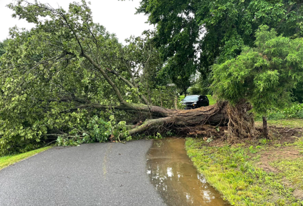 More NWS surveys point to EF-1 tornadoes at Fancy Farm and Greenville
