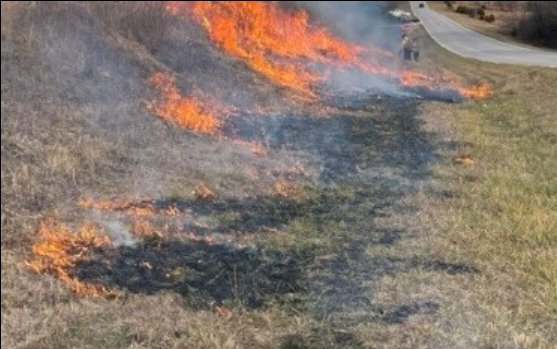 Fire near Branson finally contained after burning 1600 acres