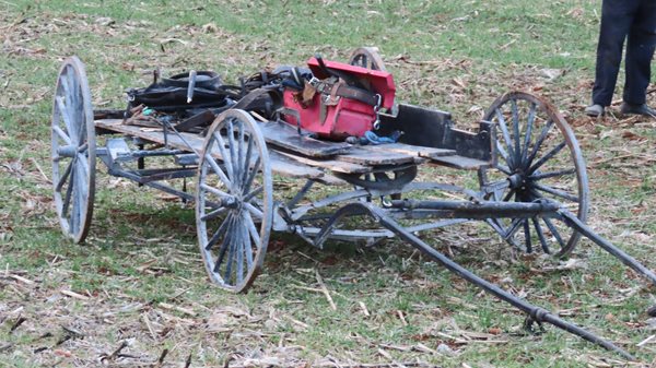 Car hits horse and buggy in Trigg County, 2 hurt