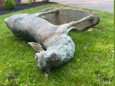 Bronze antlers stolen from Elk statue in Marshall County