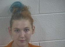 Several indicted in Carlisle County after drug investigations