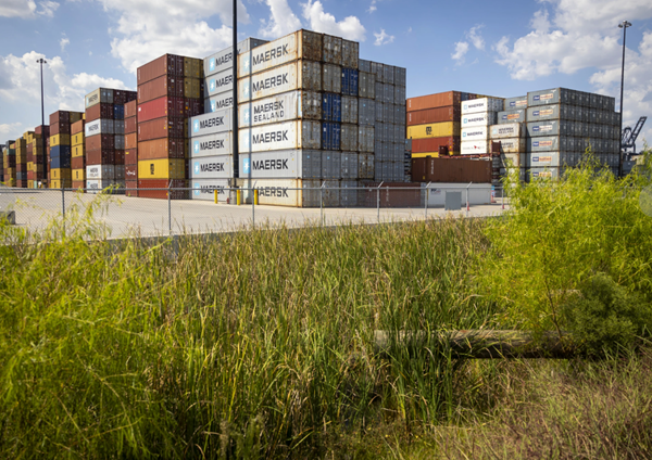 Dockworker's strike suspended until Jan. 15