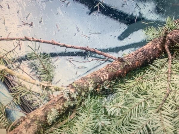 NWS: Possible tornado, report of campers destroyed at Kentucky Lake NWS: Possible tornado, report of campers destroyed at Kentucky Lake