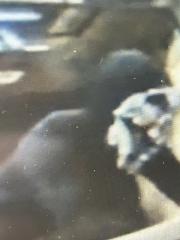 download-(2).jpg download-(2).jpg