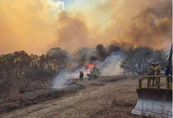 Fire near Branson finally contained after burning 1600 acres