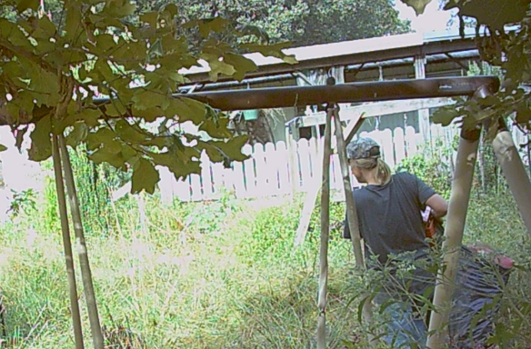 Graves deputies seek identity of theft suspect caught on camera 
