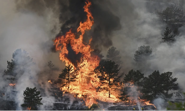 Colorado fire that destroyed 27 homes was human caused
