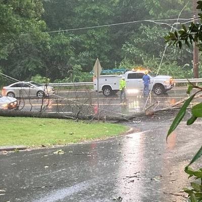 Dozens of trees, power lines down as storms race across region