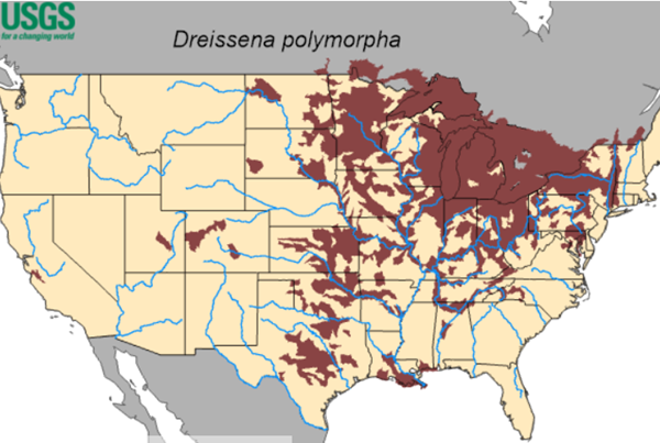Shawnee Forest warns of preventing spread of zebra mussels