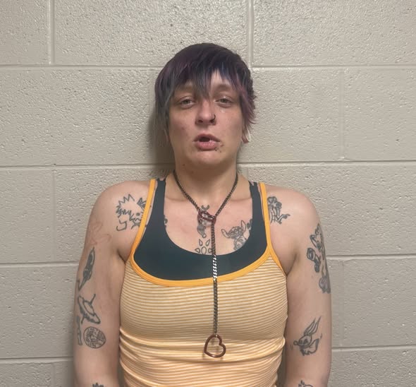 Two arrested following pursuit in Paducah