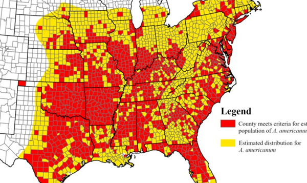 Southern Seven Health warns of rising numbers of Lone Star ticks