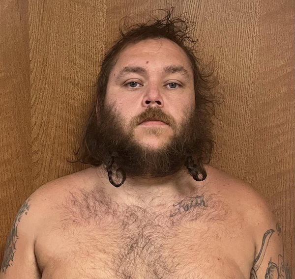 Two fugitives arrested following Lyon County theft