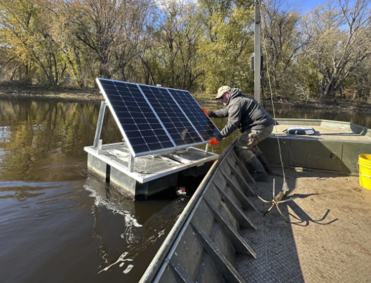 Latest weapon against Asian carp: tagging 'spy fish'
